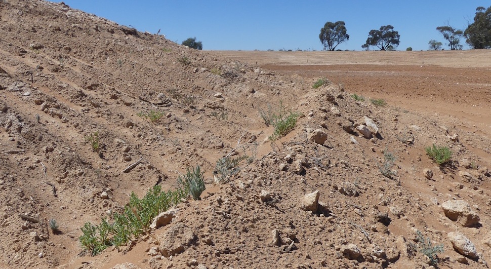 2026 - Mallee Earthmoving & Excavations