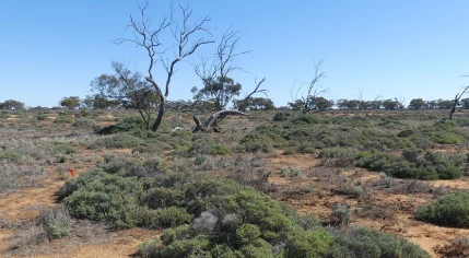 2024 - Client: Mallee Earthmoving & Excavations Pty Ltd